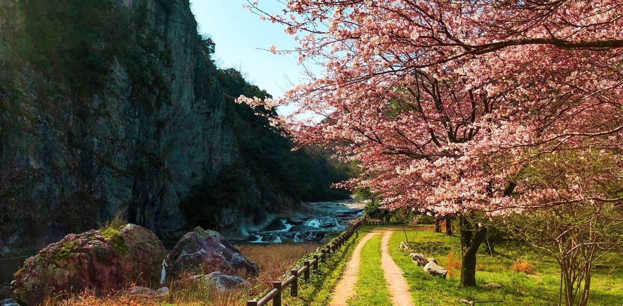 All Nippon Airways Onan Office in Japan