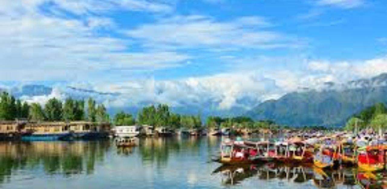 Go Air Srinagar Office in Jammu and Kashmir